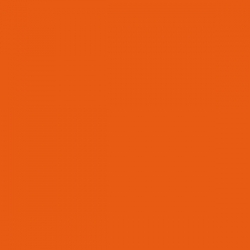 RAL 2004 Reinorange